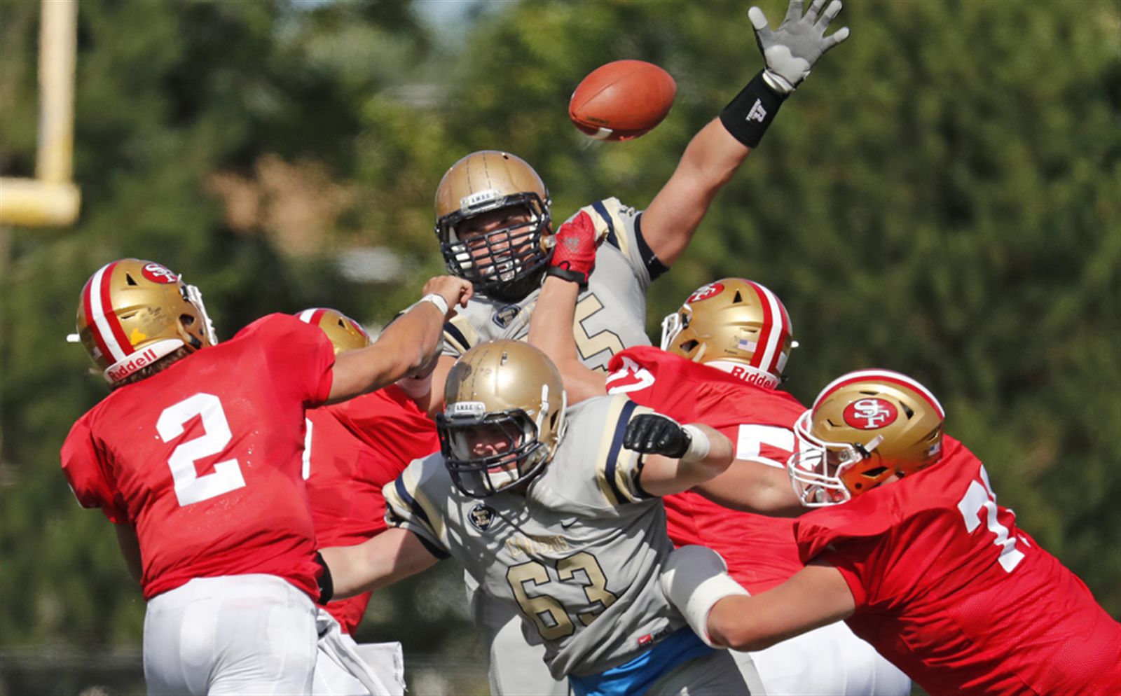 Canisius 55, St. Francis 13